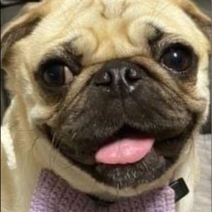 Sale….Sale….Sale